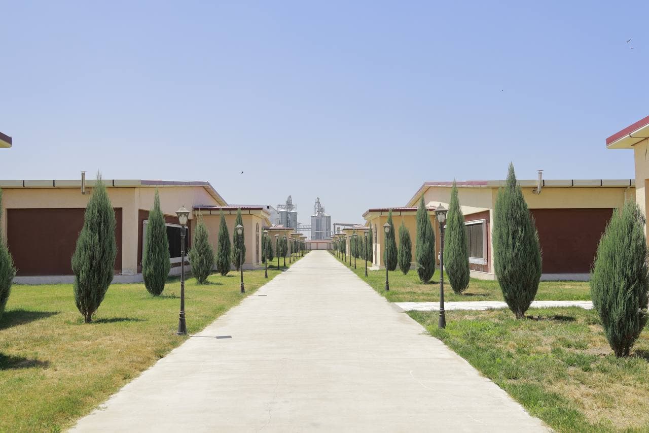 Внедрение современных агротехнологий в Ташкентской области было оценено на месте