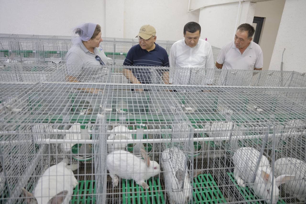 Внедрение современных агротехнологий в Ташкентской области было оценено на месте