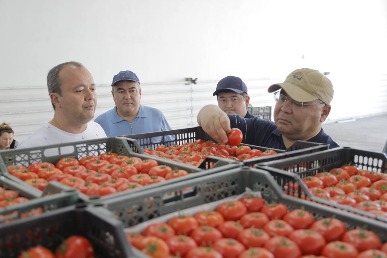 Внедрение современных агротехнологий в Ташкентской области было оценено на месте