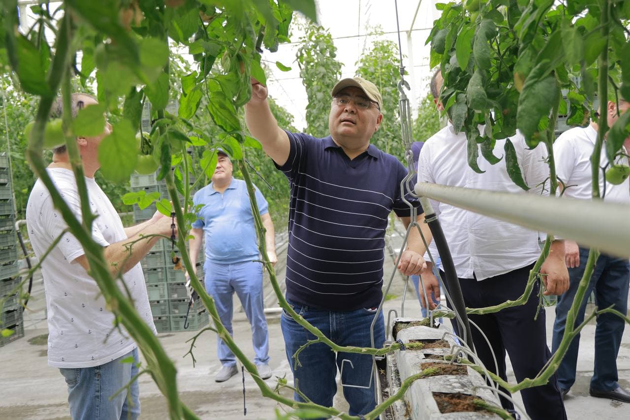 Внедрение современных агротехнологий в Ташкентской области было оценено на месте