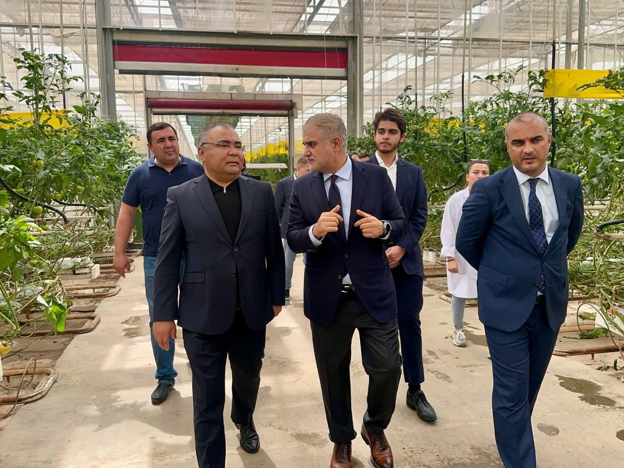 Узбекистан — Азербайджан: новые горизонты сотрудничества