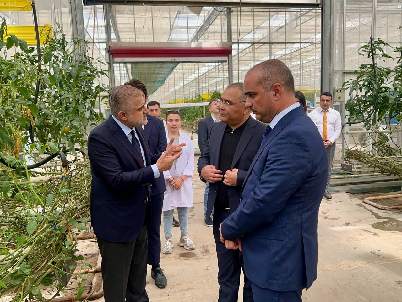 Узбекистан — Азербайджан: новые горизонты сотрудничества