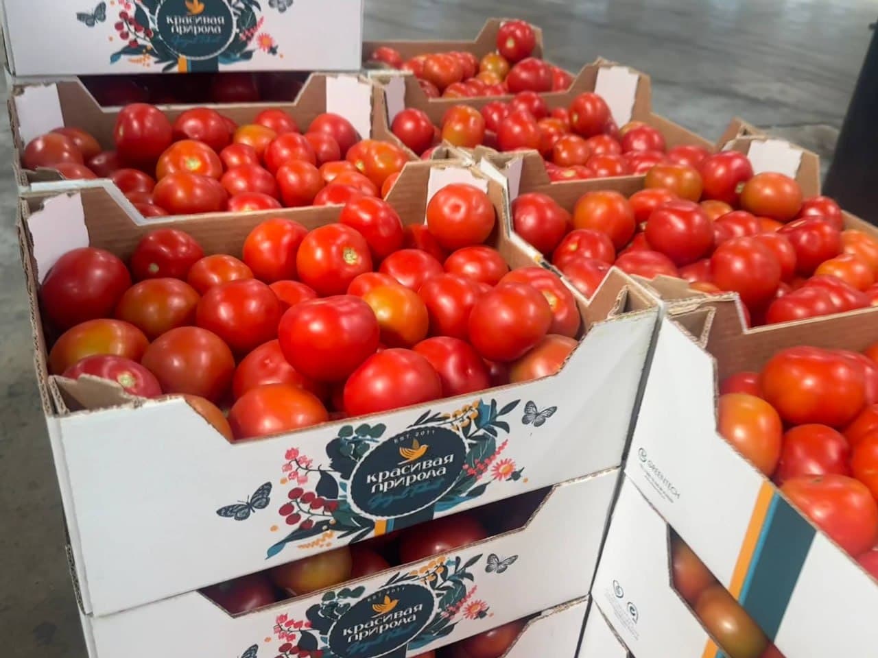 Узбекистан — Азербайджан: новые горизонты сотрудничества