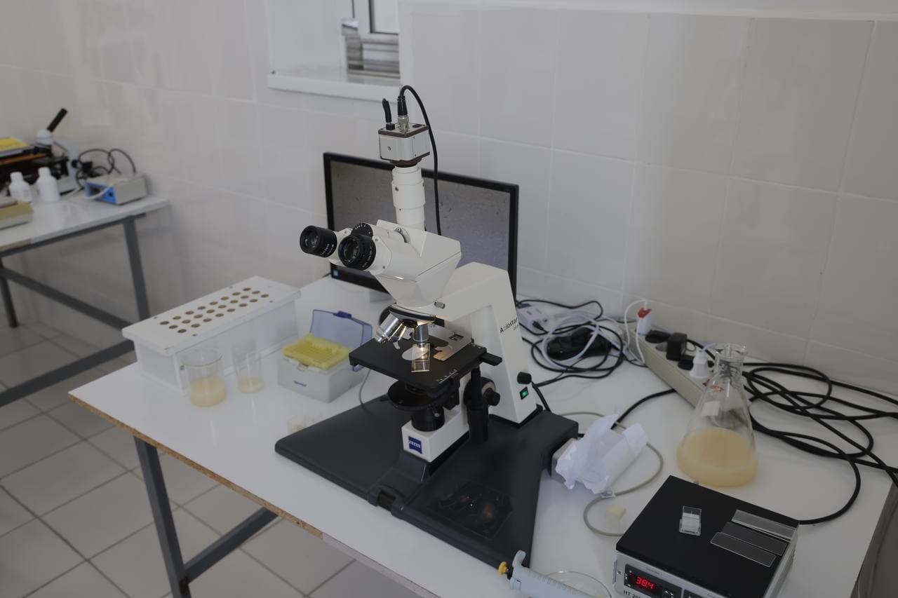 Новый этап в селекции племенного крупного рогатого скота в Каракалпакстане