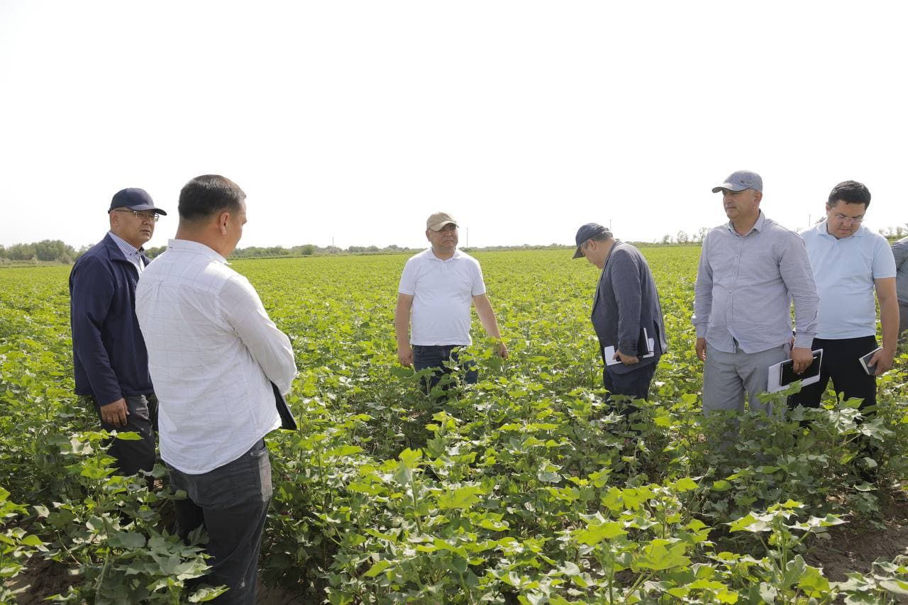 Qoraqalpog‘iston dalalarida yangicha qarash, zamonaviy yondashuv