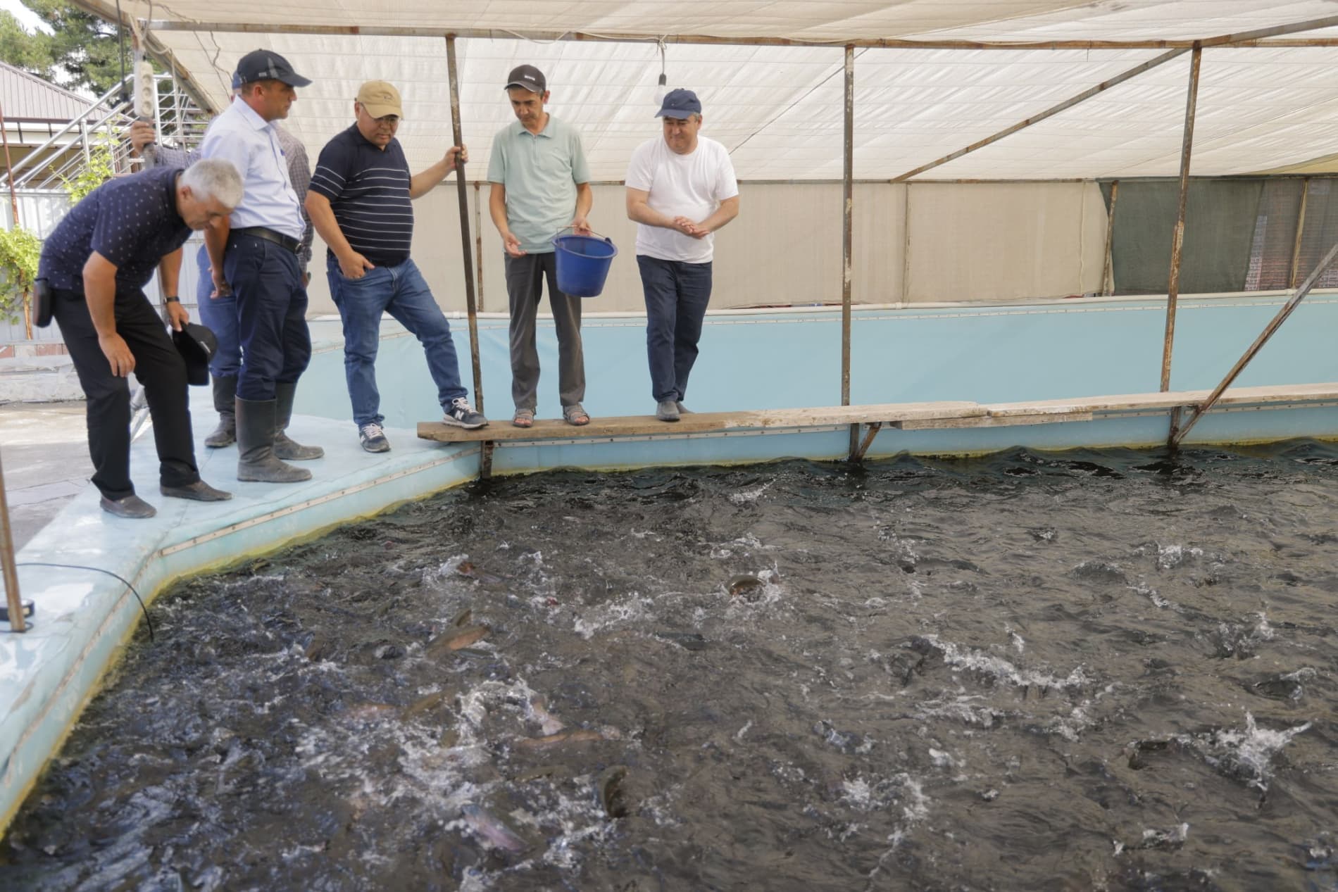 «Status soft»: от 5 тысяч голов рыбы к 100 тоннам продукции