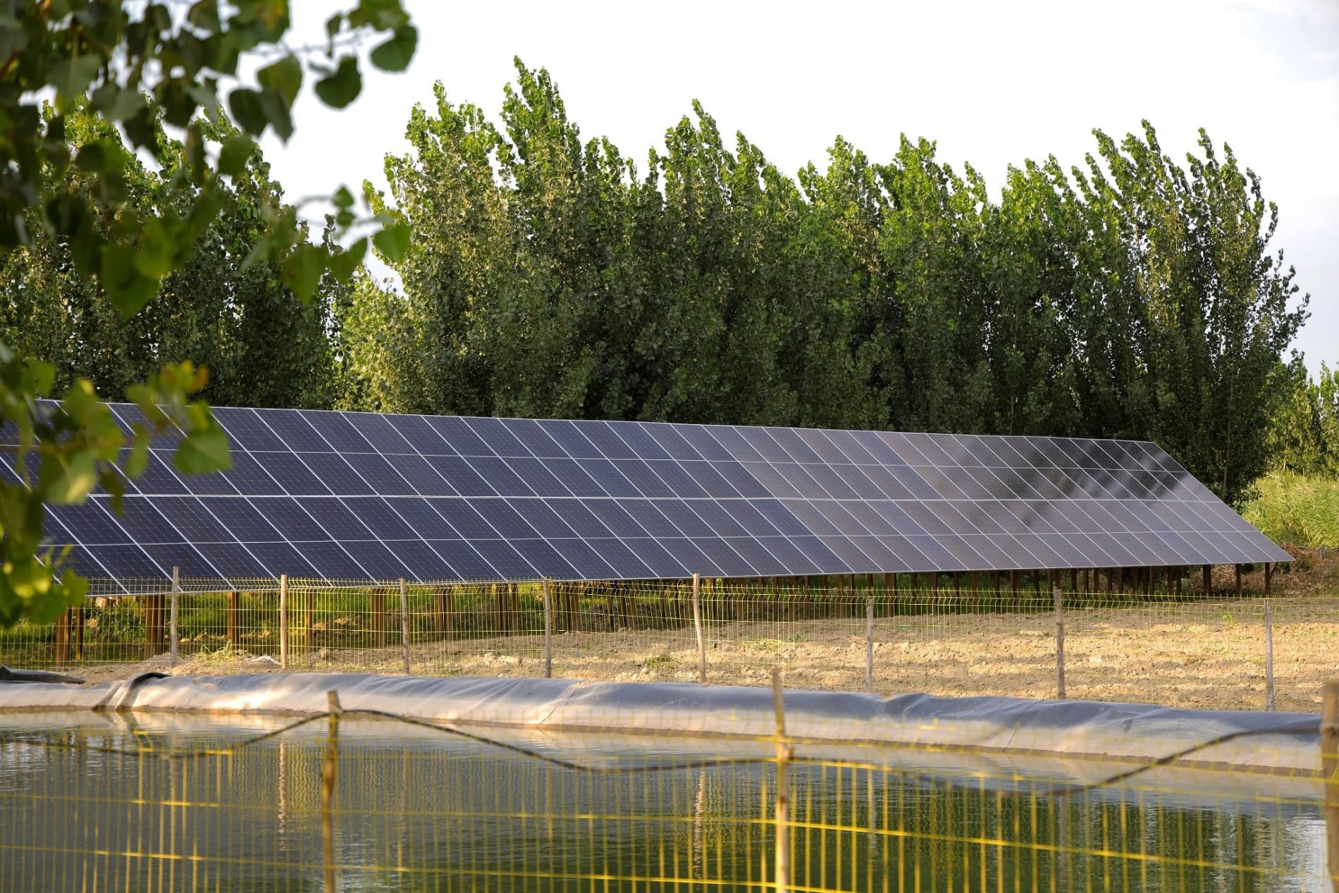 Результат на поле будет только при правильном внедрении агротехнологий