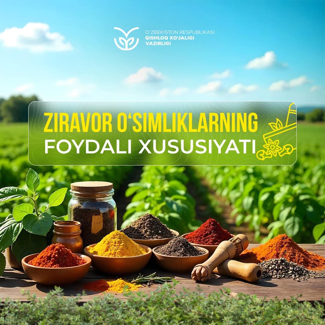 Какими полезными свойствами обладают пряные растения?