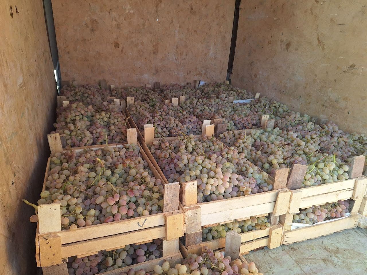 Урожай винограда - плод труда, благословения и изобилия