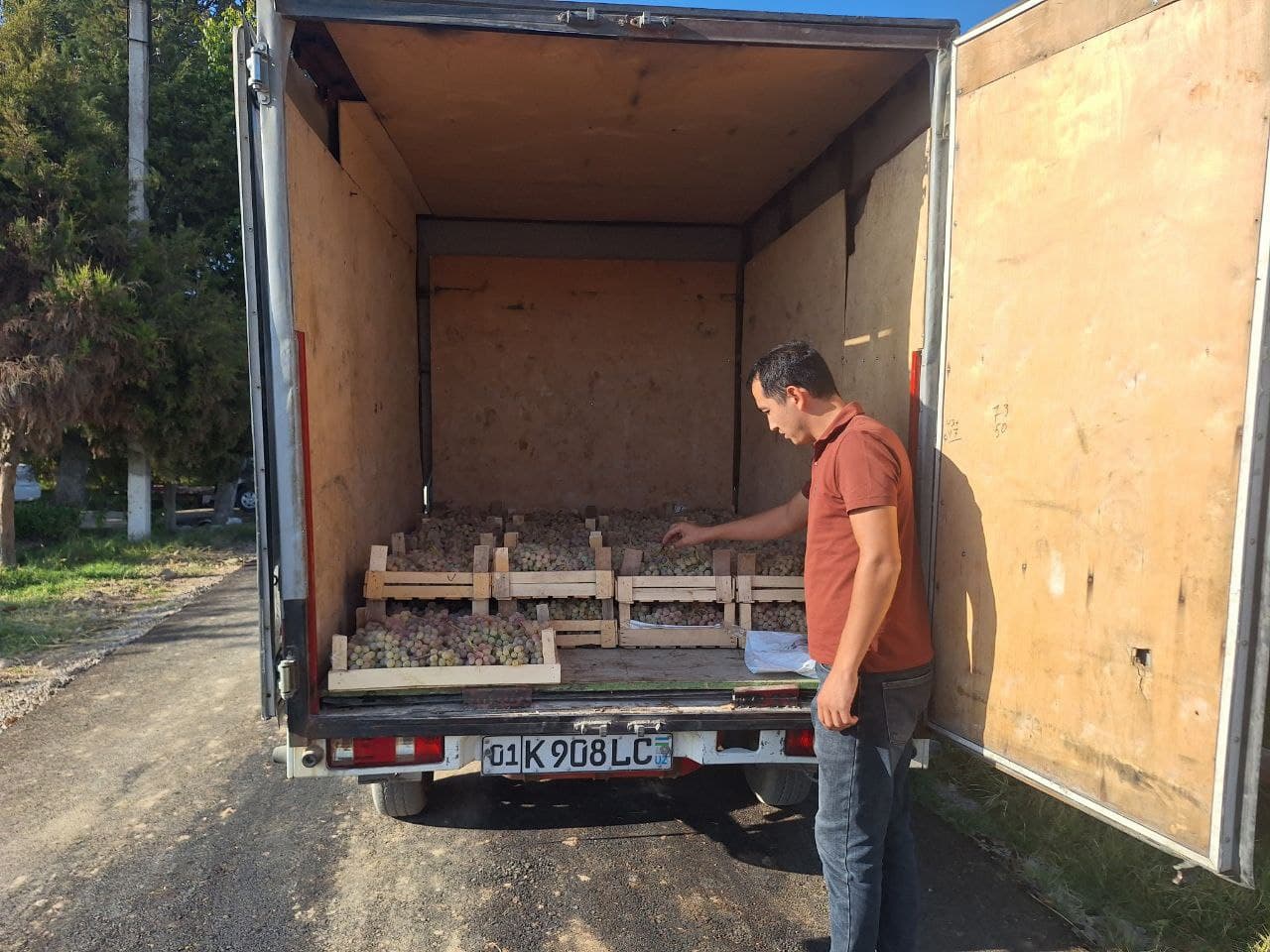 Урожай винограда - плод труда, благословения и изобилия