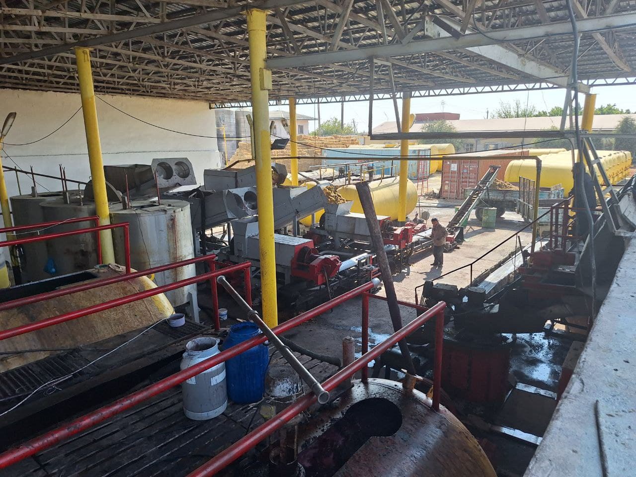 Урожай винограда - плод труда, благословения и изобилия