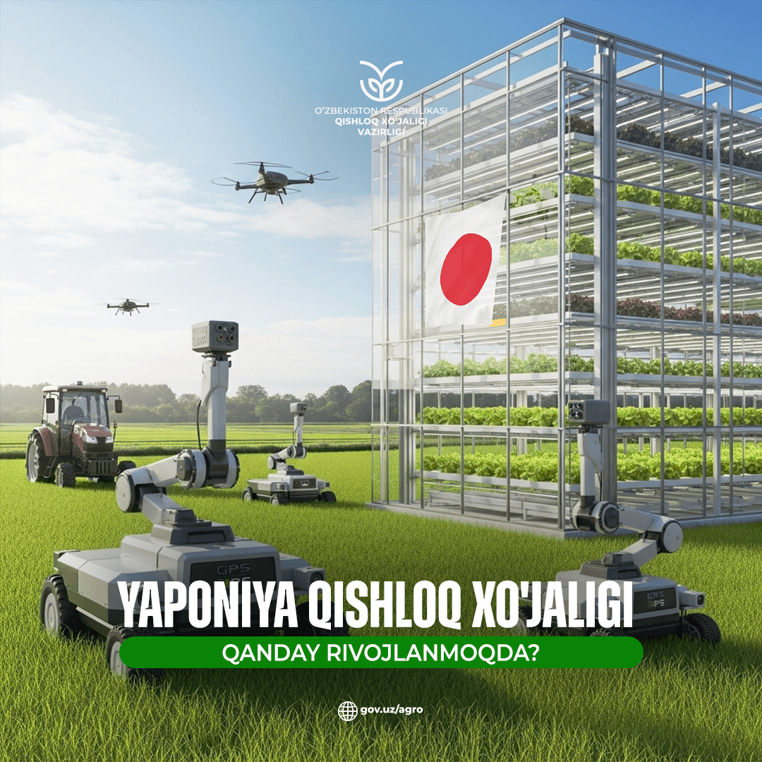 Raqamli innovatsiya: Yaponiya qishloq xo'jaligi qanday rivojlanmoqda?