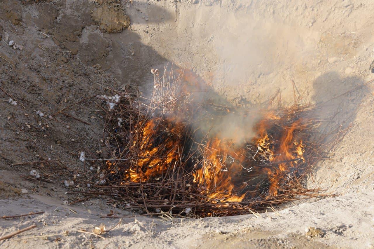 Новый шаг к агроэкосистеме: фермерам объяснили преимущества «Biochar»