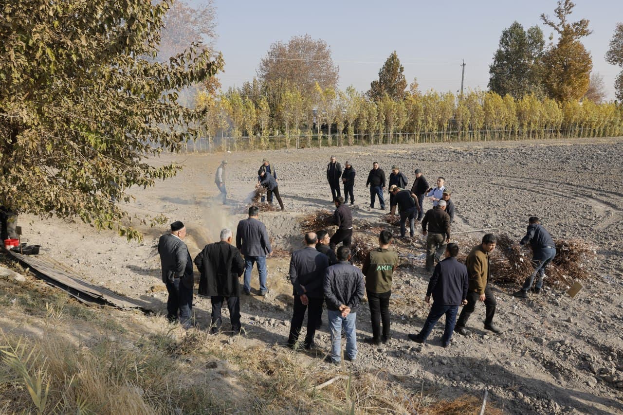 Новый шаг к агроэкосистеме: фермерам объяснили преимущества «Biochar»