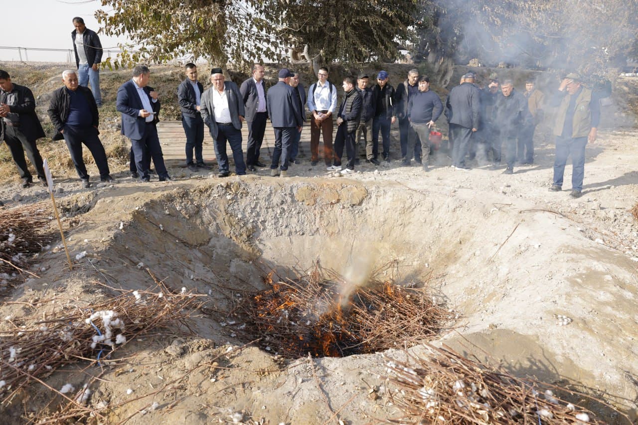 Новый шаг к агроэкосистеме: фермерам объяснили преимущества «Biochar»