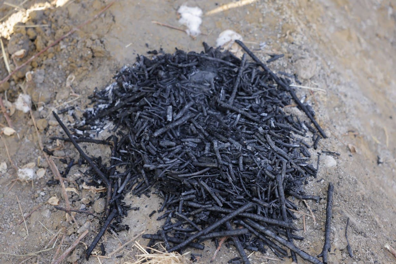 Новый шаг к агроэкосистеме: фермерам объяснили преимущества «Biochar»