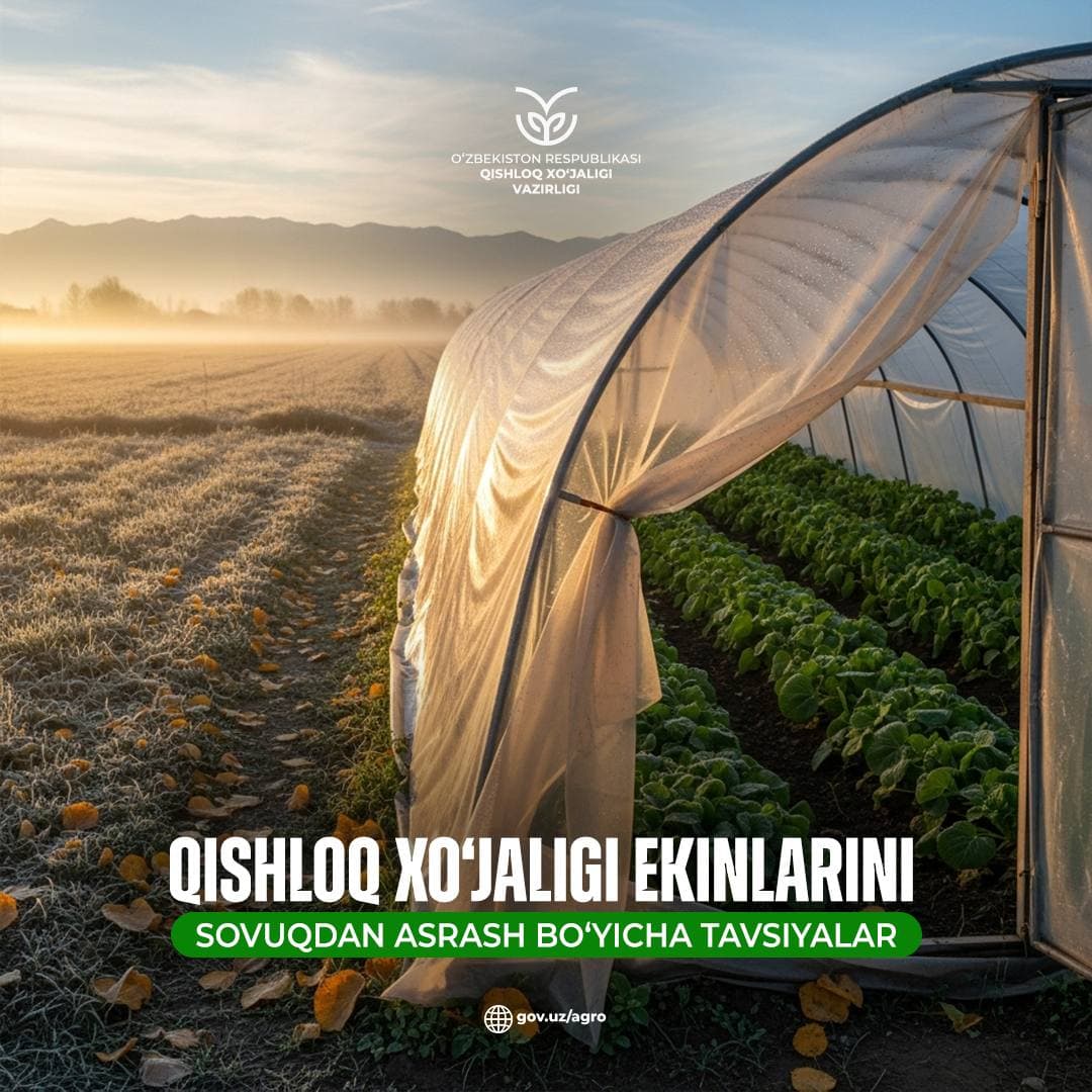Qishloq xo‘jaligi ekinlarini sovuqdan asrash bo‘yicha tavsiyalar
