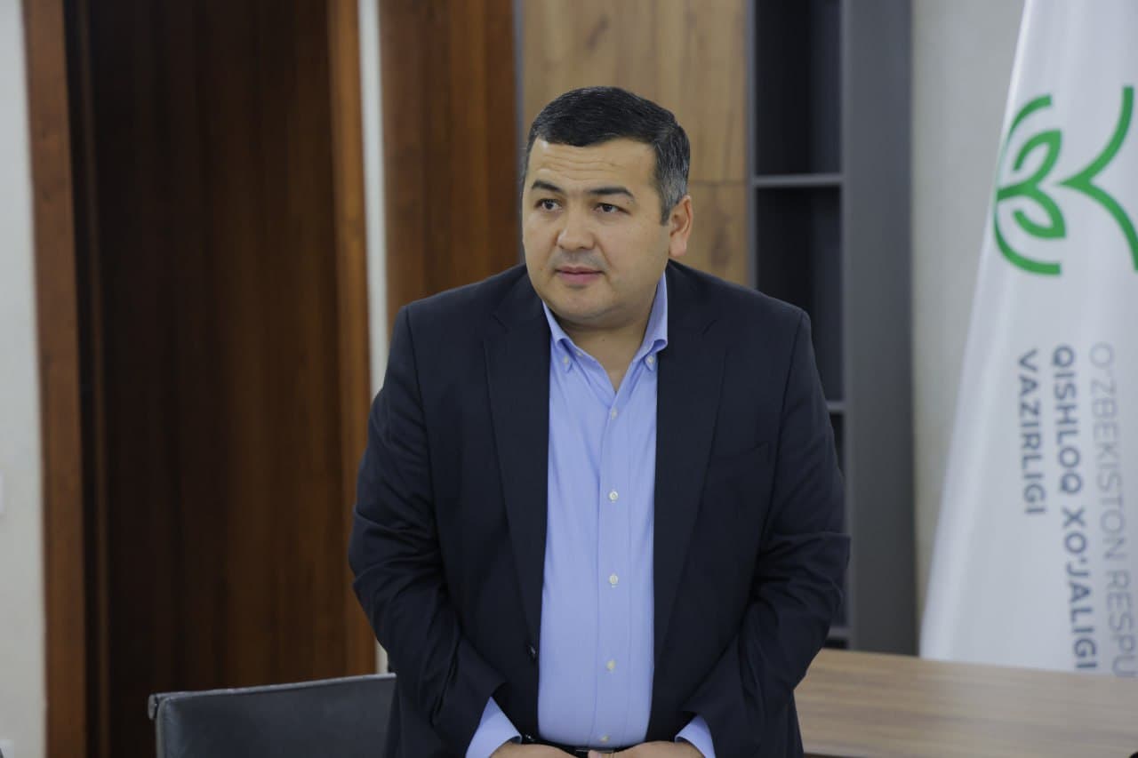 Подомовые проекты и инновационные подходы: результаты и эффективность