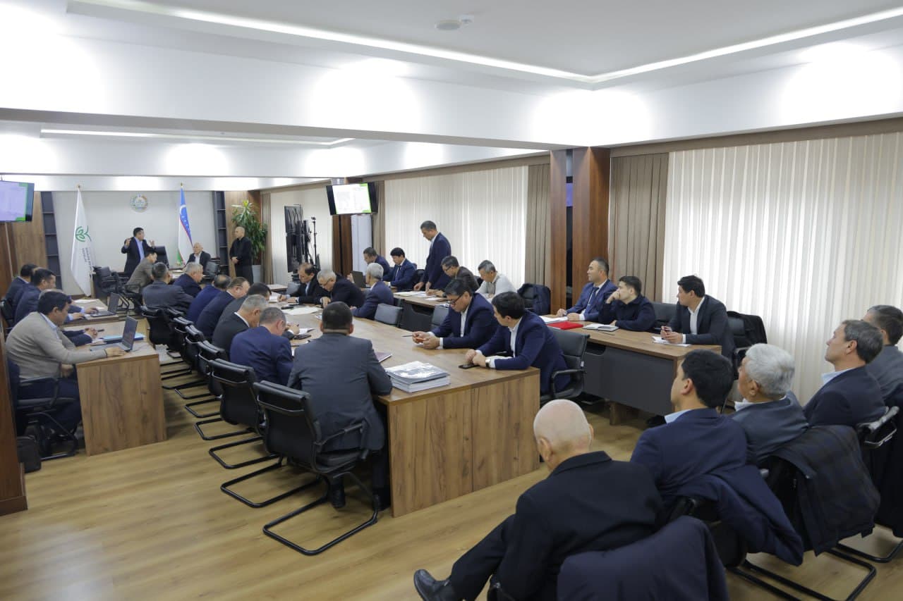 Подомовые проекты и инновационные подходы: результаты и эффективность