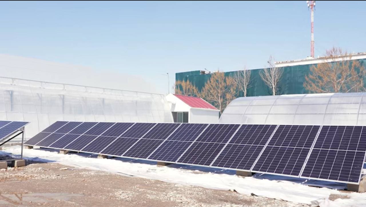 Инновационная теплица: сочетание энергоэффективности и цифрового управления