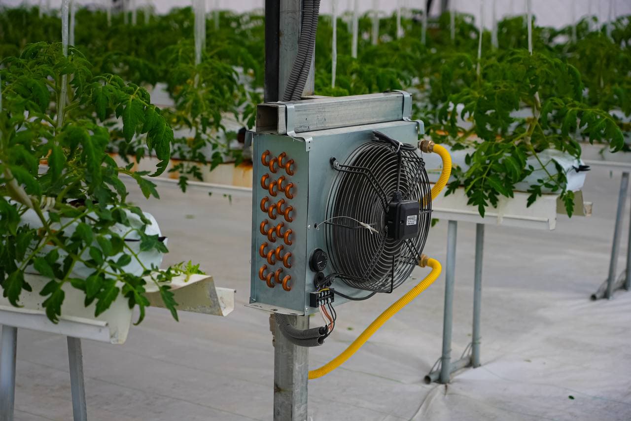 Инновационная теплица: сочетание энергоэффективности и цифрового управления