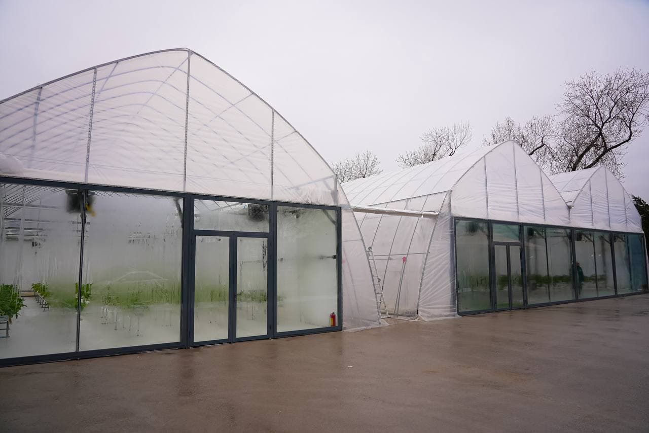 Инновационная теплица: сочетание энергоэффективности и цифрового управления