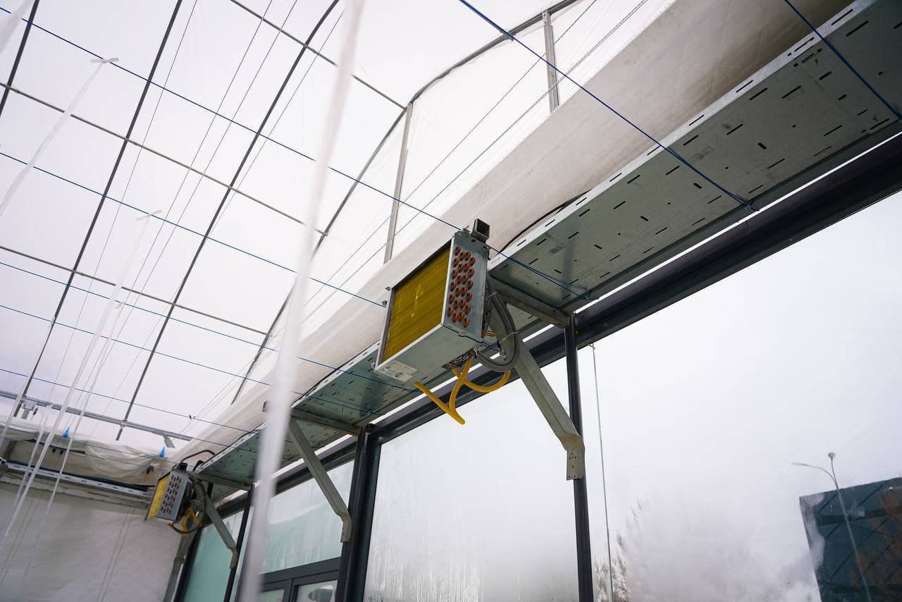 Инновационная теплица: сочетание энергоэффективности и цифрового управления