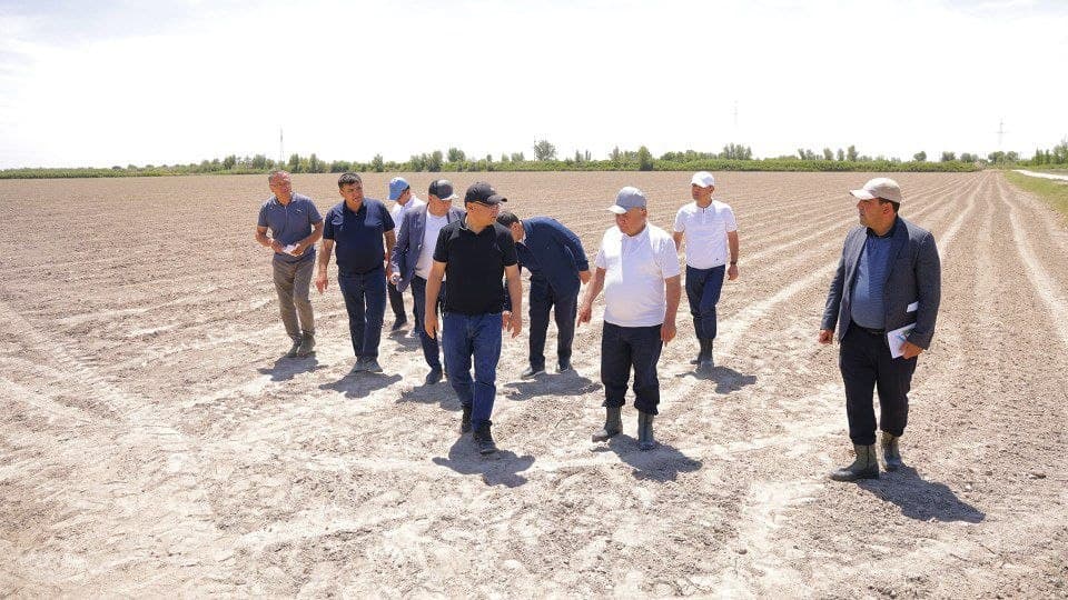 Sho‘rlangan yerda yangi imkoniyat: Xonqada jut yetishtirish jarayonlari ko'zdan kechirildi