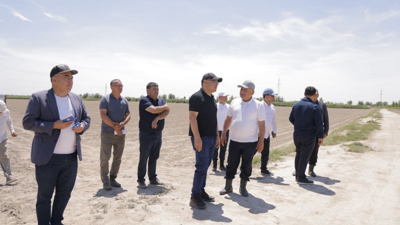 Sho‘rlangan yerda yangi imkoniyat: Xonqada jut yetishtirish jarayonlari ko'zdan kechirildi