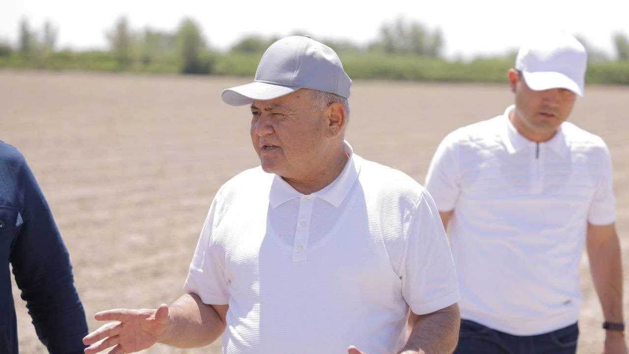 Sho‘rlangan yerda yangi imkoniyat: Xonqada jut yetishtirish jarayonlari ko'zdan kechirildi
