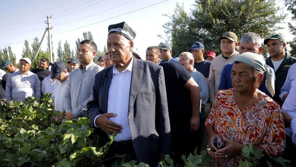 Будущий урожай хлопчатника зависит от сегодняшнего ухода: в Кашкадарьинской области состоялся практический семинар, основанный на научном подходе
