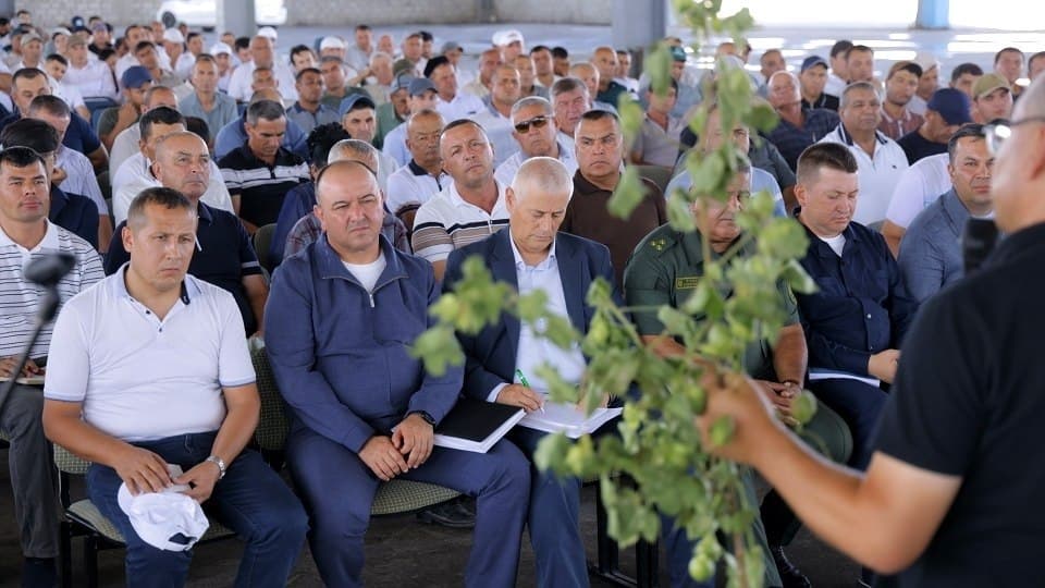 Практический семинар по хлопководству: на одной площадке — наука и практика