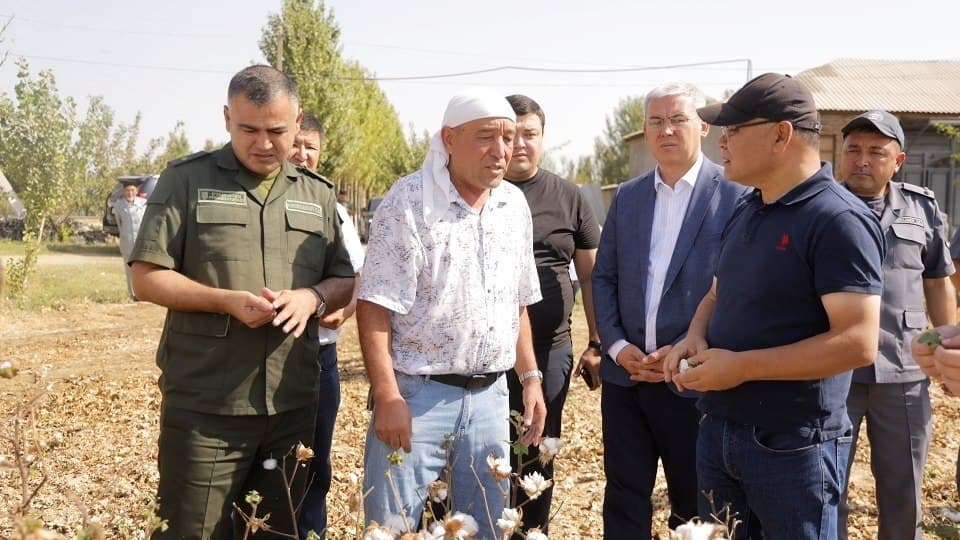 Hosilni terimgacha to‘g‘ri boshqarish — yuqori natijaning muhim omili