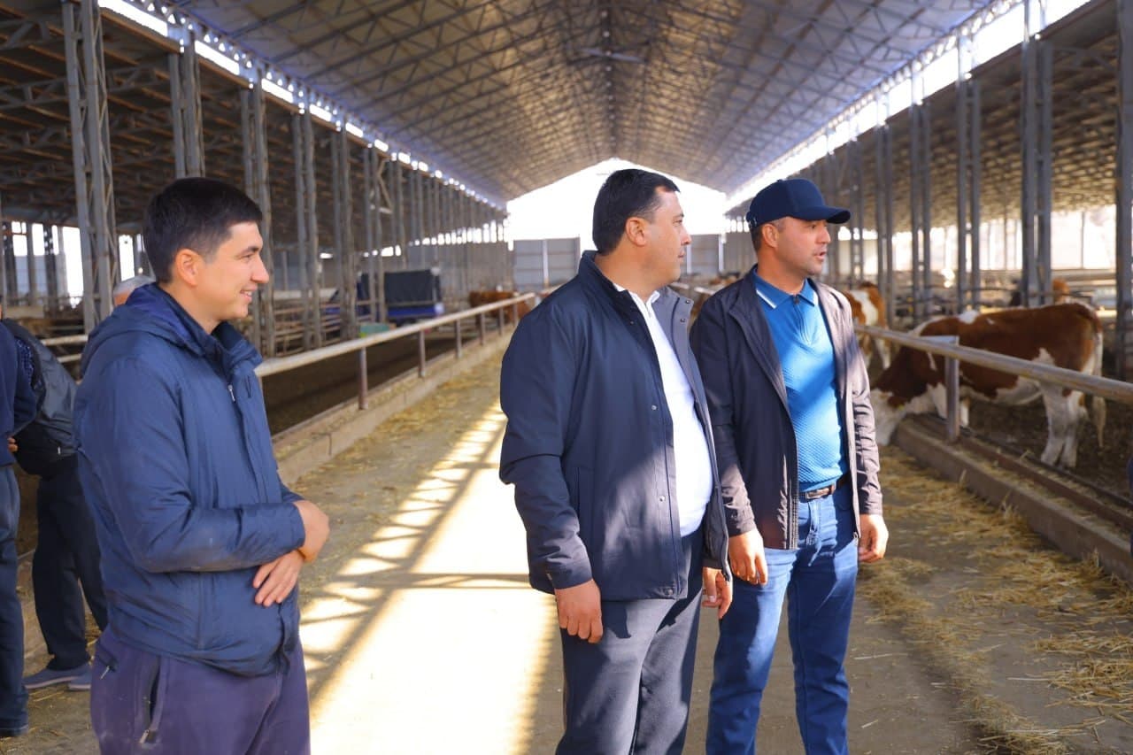 Çorvaçilik rivoji – oziq-ovqat xavfsizligining muhim omili
