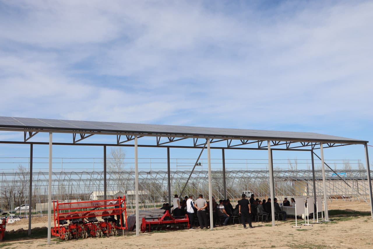 Qamashi tumanida pomidor yetishtiruvchilar uchun yangi imkoniyatlar yaratilmoqda