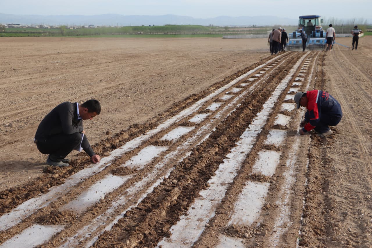 Qamashi tumanida chigit ekish bo‘yicha amaliy seminar o‘tkazildi