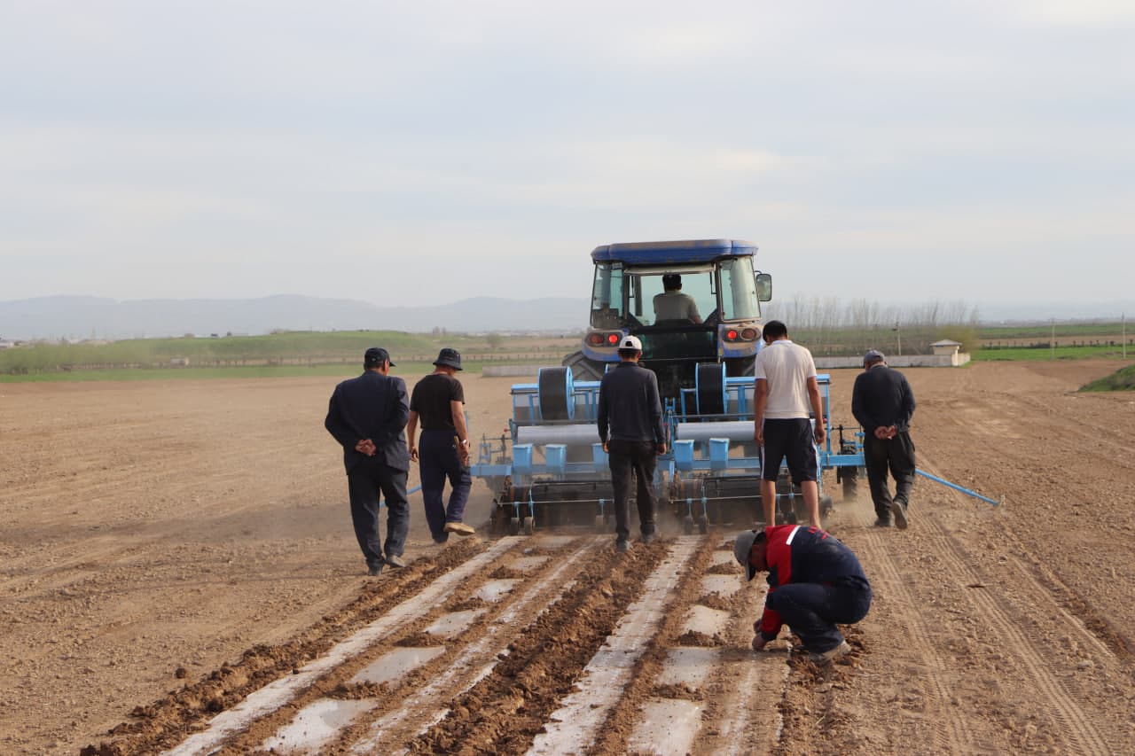 Qamashi tumanida chigit ekish bo‘yicha amaliy seminar o‘tkazildi