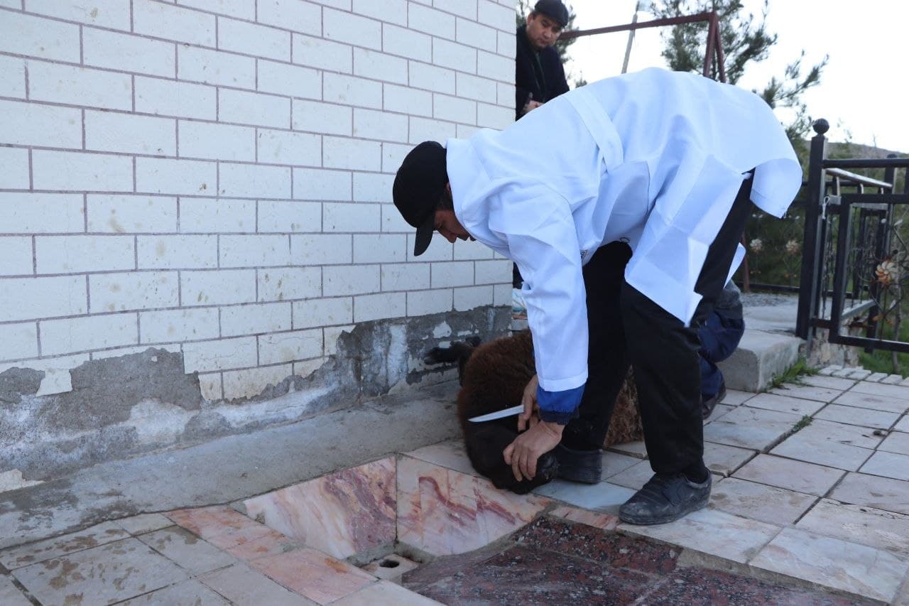 Qutlug‘ qadamjolarda qilingan niyatlar ijobat bo‘ladi