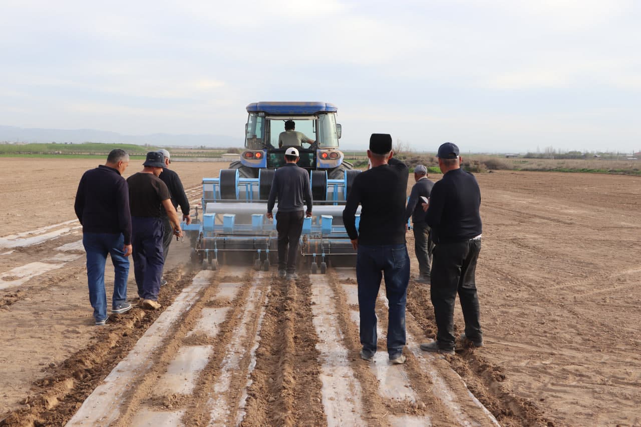 Qamashi tumanida chigit ekish bo‘yicha amaliy seminar o‘tkazildi