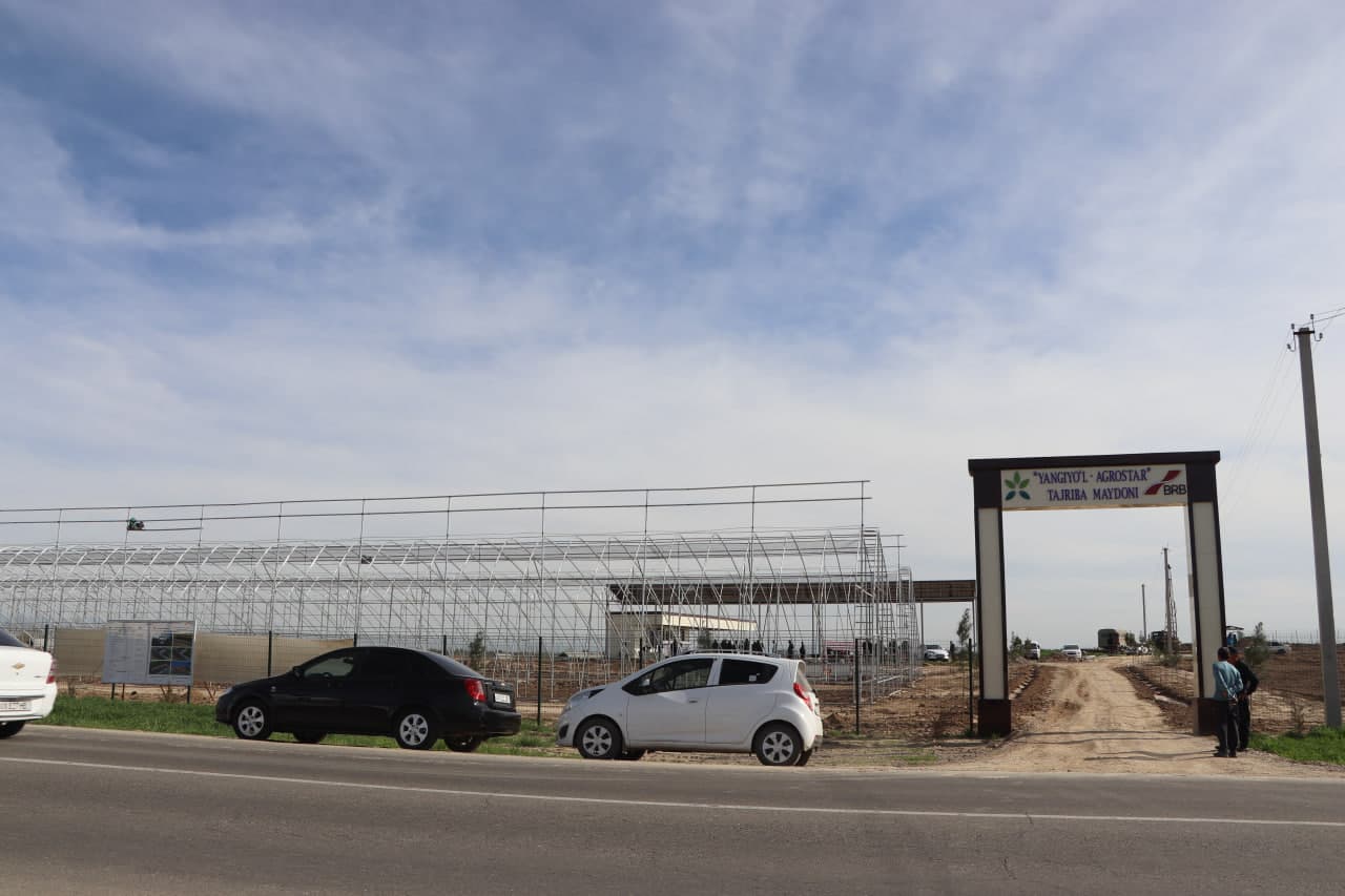 Qamashi tumanida pomidor yetishtiruvchilar uchun yangi imkoniyatlar yaratilmoqda