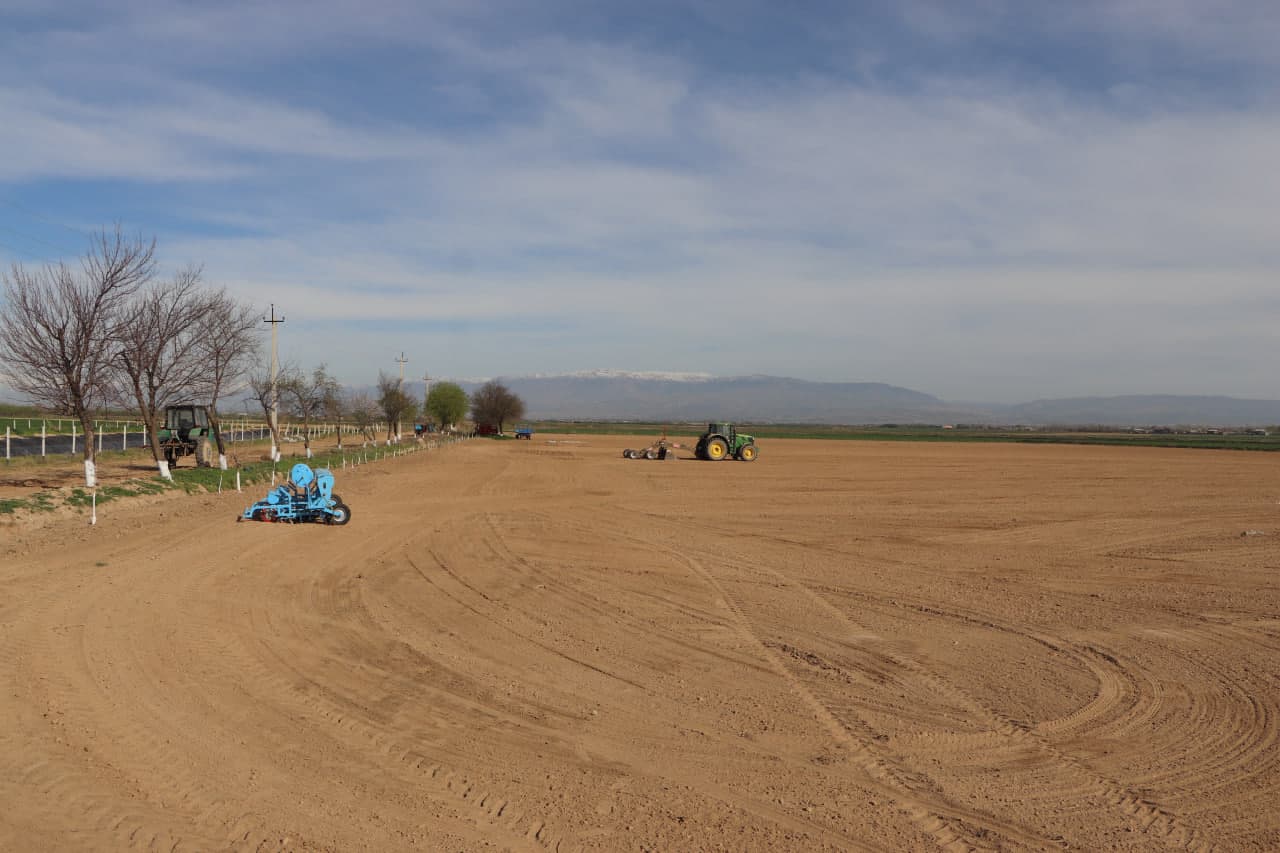 Qamashi tumanida chigit ekish bo‘yicha amaliy seminar o‘tkazildi