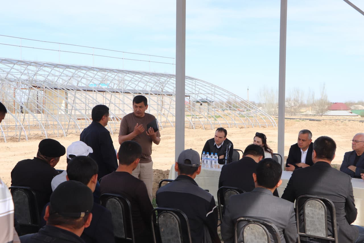 Qamashi tumanida pomidor yetishtiruvchilar uchun yangi imkoniyatlar yaratilmoqda