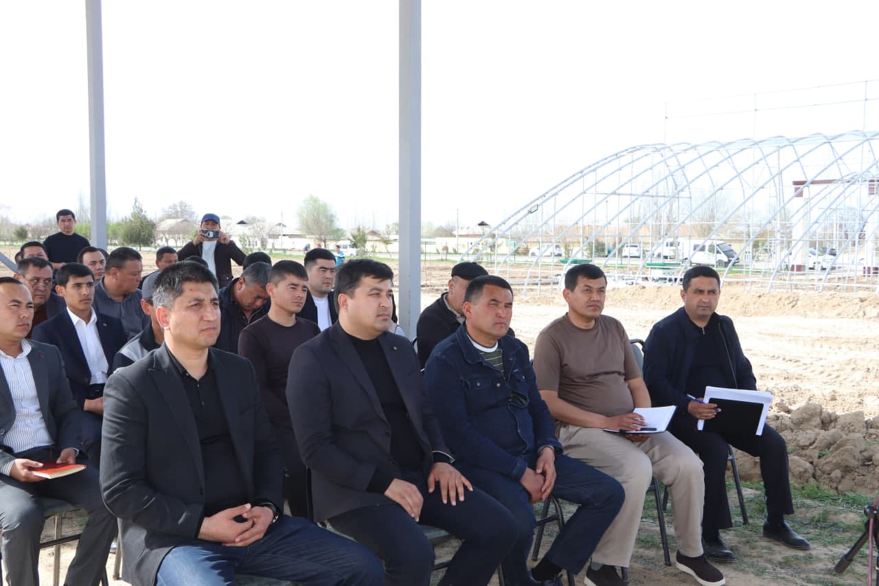 Qamashi tumanida pomidor yetishtiruvchilar uchun yangi imkoniyatlar yaratilmoqda