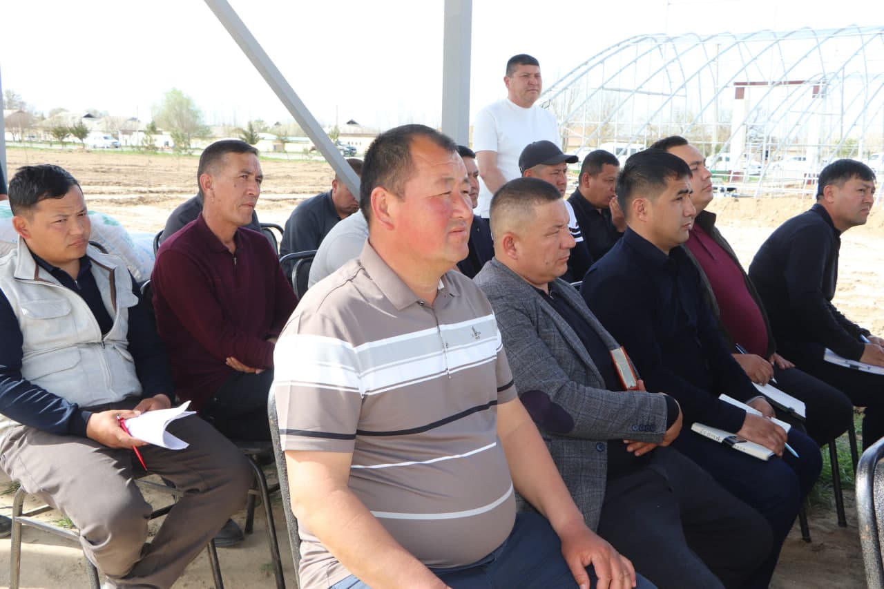 Qamashi tumanida pomidor yetishtiruvchilar uchun yangi imkoniyatlar yaratilmoqda