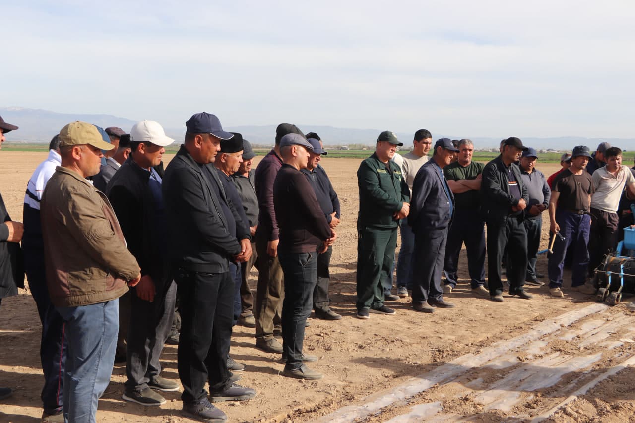 Qamashi tumanida chigit ekish bo‘yicha amaliy seminar o‘tkazildi