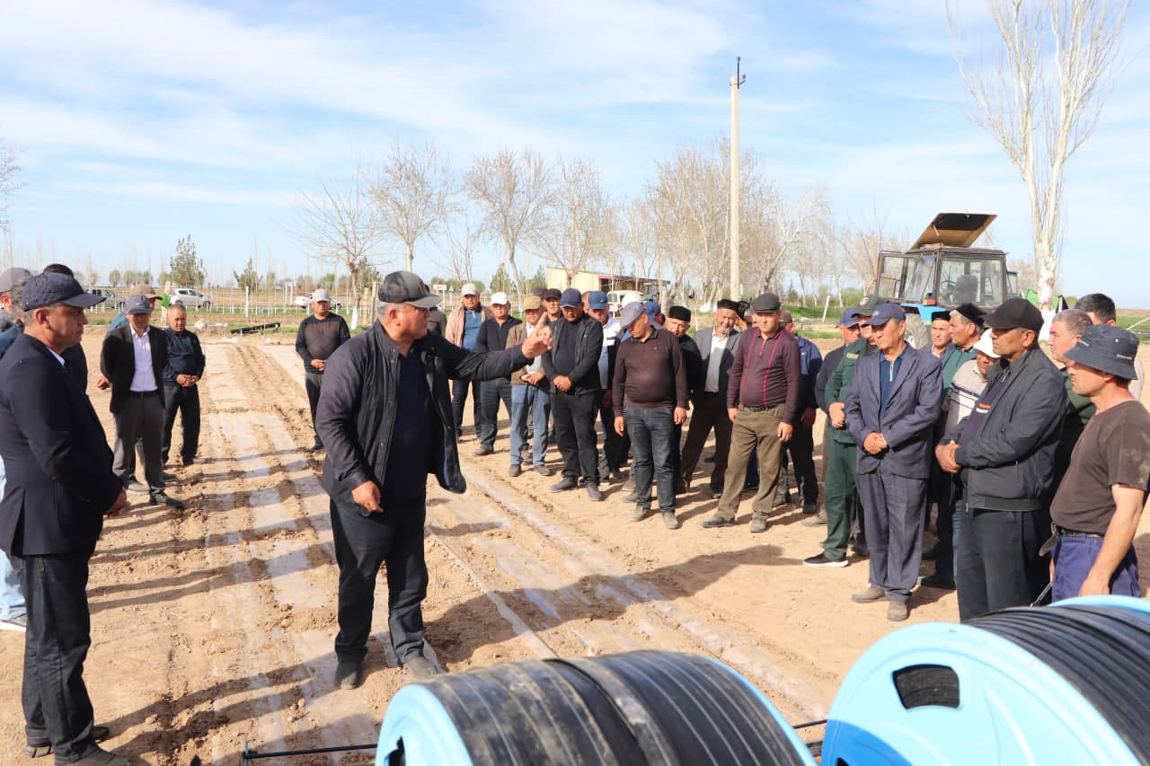 Qamashi tumanida chigit ekish bo‘yicha amaliy seminar o‘tkazildi