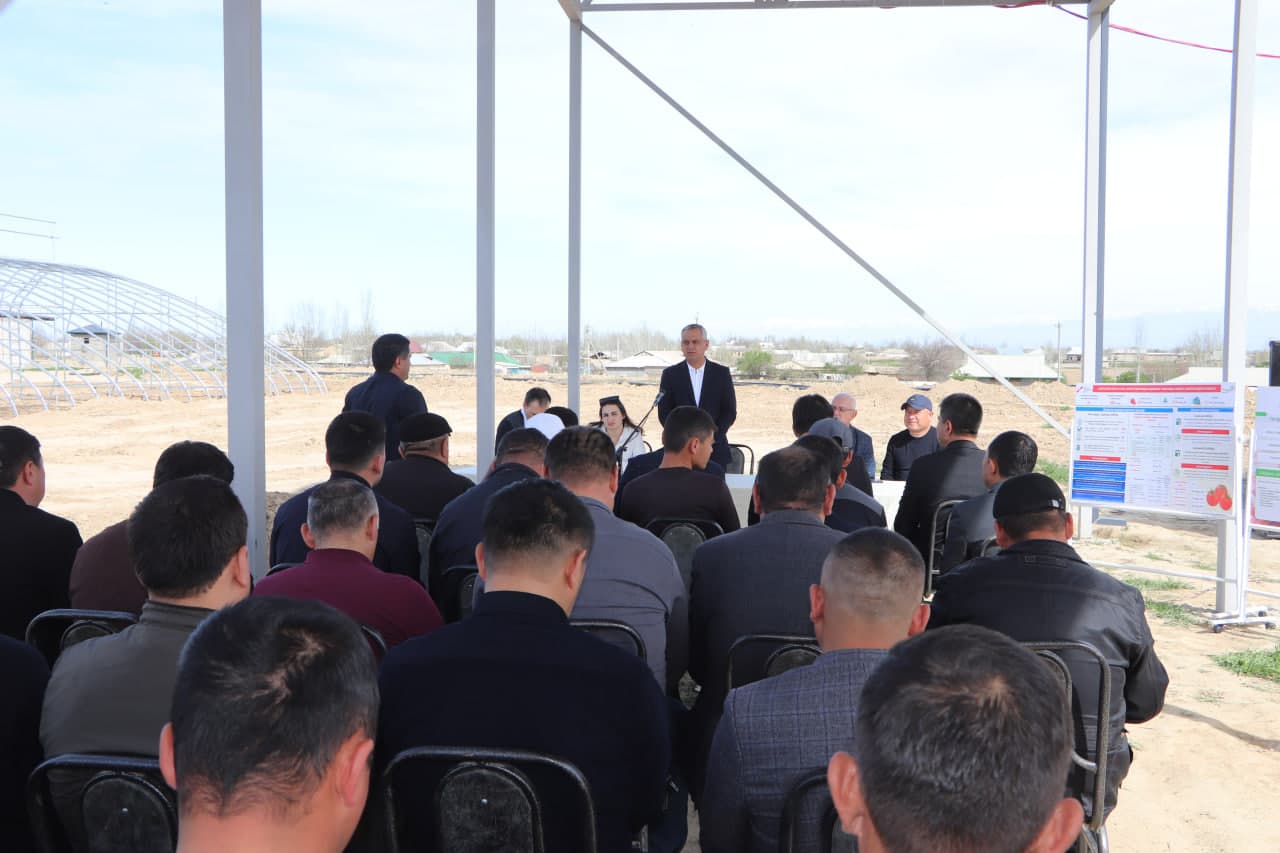 Qamashi tumanida pomidor yetishtiruvchilar uchun yangi imkoniyatlar yaratilmoqda
