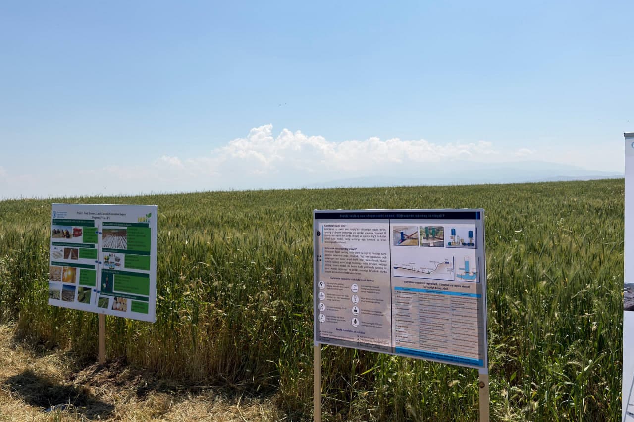 Kam xarajat — mo‘l hosil: ‘No-Till’ texnologiyasi fermerlar uchun yangi imkoniyat