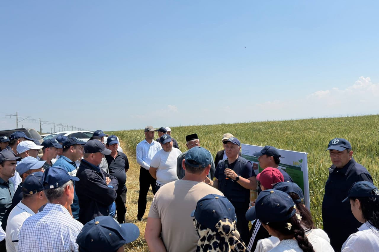 Kam xarajat — mo‘l hosil: ‘No-Till’ texnologiyasi fermerlar uchun yangi imkoniyat