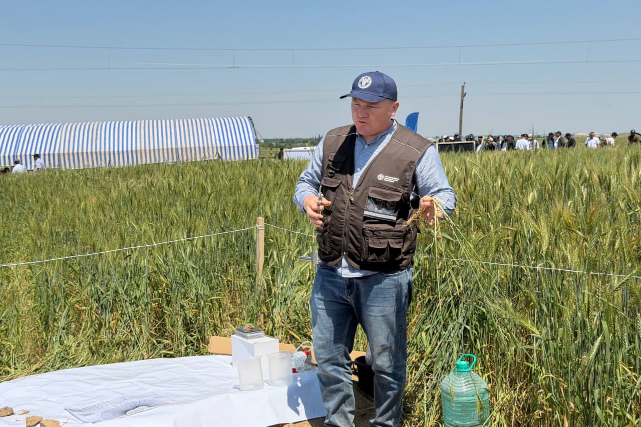 Kam xarajat — mo‘l hosil: ‘No-Till’ texnologiyasi fermerlar uchun yangi imkoniyat